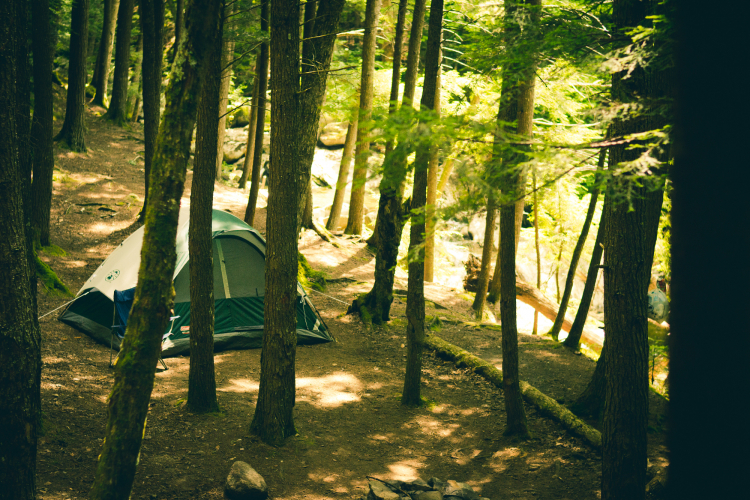 Blog